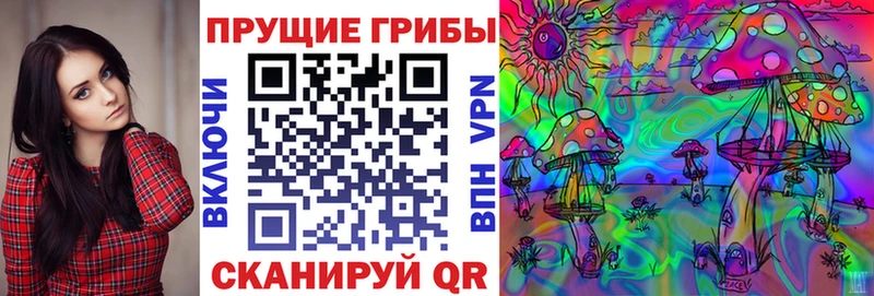 Купить где  Боготол  Псилоцибиновые грибы Magic Shrooms 